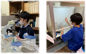 第2段階プログラム 実験の様子